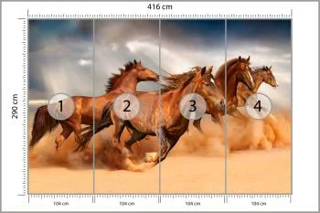 Fototapeta Konie Biegnące Po Pustyni - obrazek 3