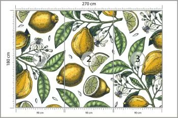 Fototapeta Cytryny Z Kwiatami - obrazek 3