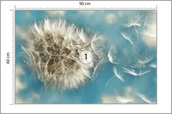 Fototapeta Dmuchawiec 3D - obrazek 3