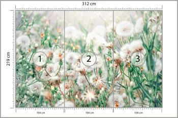Fototapeta Dmuchawce - obrazek 3