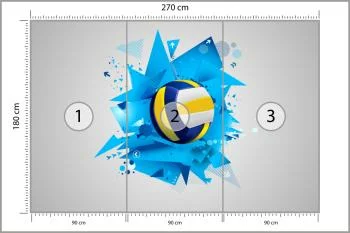 Fototapeta Piłka Siatkowa - obrazek 3