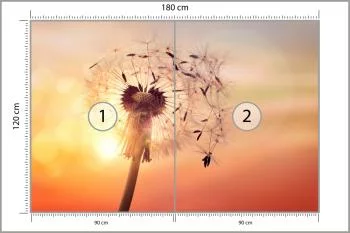 Fototapeta Optyczna Dmuchawiec - obrazek 3