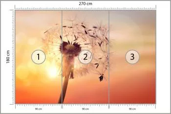 Fototapeta Optyczna Dmuchawiec - obrazek 3