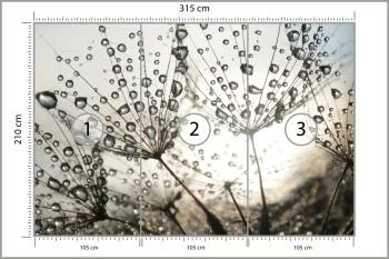 Fototapeta Dmuchawiec Krople - obrazek 3