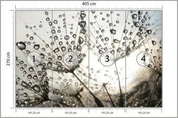Fototapeta Dmuchawiec Krople - obrazek 3