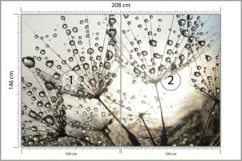 Fototapeta Dmuchawiec Krople - obrazek 3