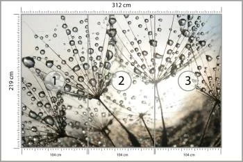 Fototapeta Dmuchawiec Krople - obrazek 3