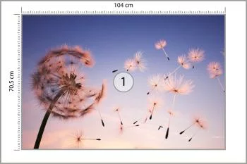 Fototapeta Nasiona Dmuchawca - obrazek 3
