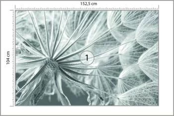 Fototapeta Dmuchawiec 3D - obrazek 3