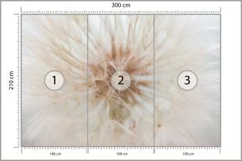 Fototapeta Dmuchawiec 3D - obrazek 3