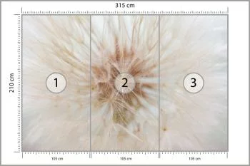 Fototapeta Dmuchawiec 3D - obrazek 3