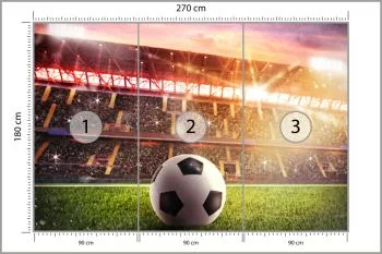 Fototapeta Piłka Nożna Na Stadionie - obrazek 3