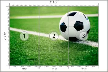 Fototapeta Piłka Nożna Na Linii - obrazek 3