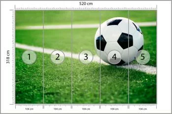 Fototapeta Piłka Nożna Na Linii - obrazek 3