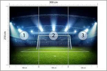 Fototapeta Bramka Na Stadionie - obrazek 3