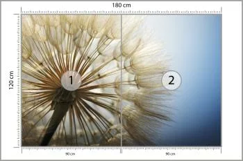 Fototapeta Dmuchawiec 3D - obrazek 3