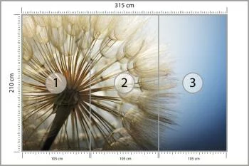 Fototapeta Dmuchawiec 3D - obrazek 3