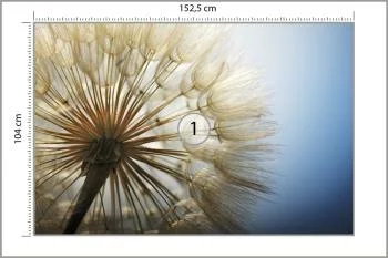 Fototapeta Dmuchawiec 3D - obrazek 3