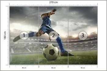 Fototapeta Piłkarz Na Boisku - obrazek 3