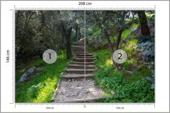 Fototapeta Schody W Lesie 3D - obrazek 3