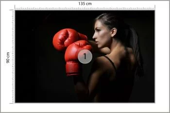 Fototapeta Piękna Bokserka - obrazek 3
