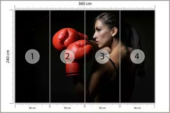 Fototapeta Piękna Bokserka - obrazek 3
