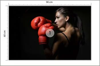 Fototapeta Piękna Bokserka - obrazek 3