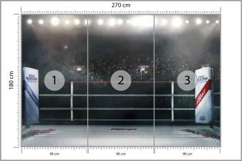 Fototapeta Bokserski Ring - obrazek 3