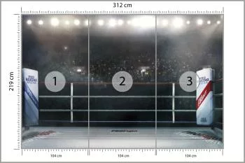 Fototapeta Bokserski Ring - obrazek 3