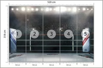 Fototapeta Bokserski Ring - obrazek 3