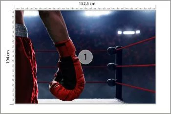Fototapeta Bokser W Ringu - obrazek 3