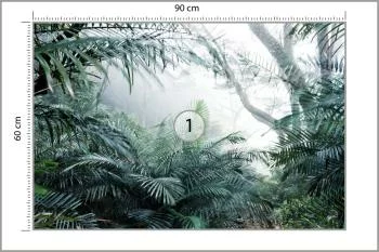Fototapeta Las We Mgle - obrazek 3
