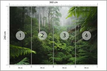 Fototapeta Las We Mgle - obrazek 3