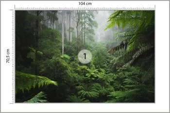 Fototapeta Las We Mgle - obrazek 3