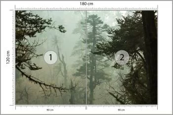 Fototapeta Las We Mgle - obrazek 3