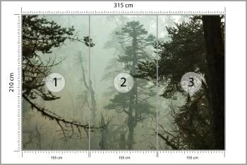 Fototapeta Las We Mgle - obrazek 3