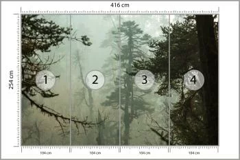 Fototapeta Las We Mgle - obrazek 3