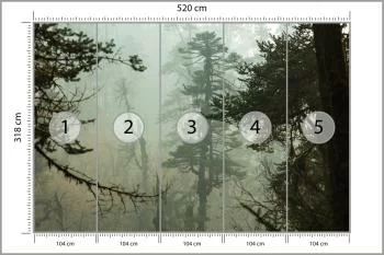 Fototapeta Las We Mgle - obrazek 3