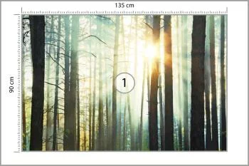 Fototapeta Las We Mgle - obrazek 3