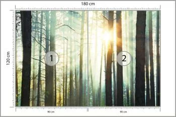 Fototapeta Las We Mgle - obrazek 3