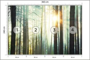 Fototapeta Las We Mgle - obrazek 3