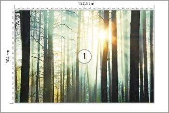 Fototapeta Las We Mgle - obrazek 3