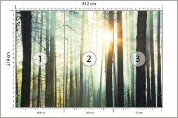 Fototapeta Las We Mgle - obrazek 3