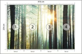 Fototapeta Las We Mgle - obrazek 3