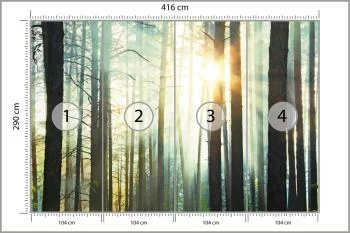 Fototapeta Las We Mgle - obrazek 3