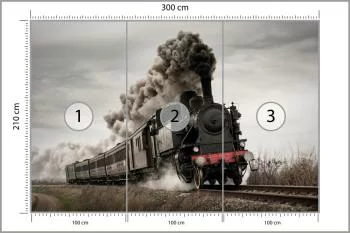 Fototapeta Zabytkowa Lokomotywa W Ruchu - obrazek 3