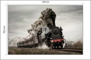 Fototapeta Zabytkowa Lokomotywa W Ruchu - obrazek 3