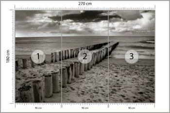 Fototapeta - Drewniane Falochrony na Plaży w Odcieniach Szarości - obrazek 3