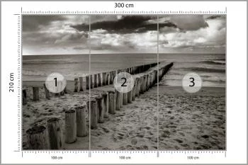 Fototapeta - Drewniane Falochrony na Plaży w Odcieniach Szarości - obrazek 3