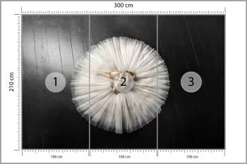 Fototapeta Buty Do Baletu Na Białej Tutu - obrazek 3